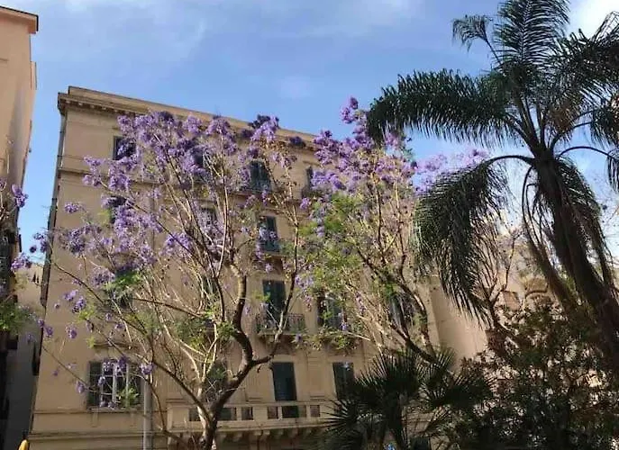 Bibi A Due Passi Dal Tribunale Centro
